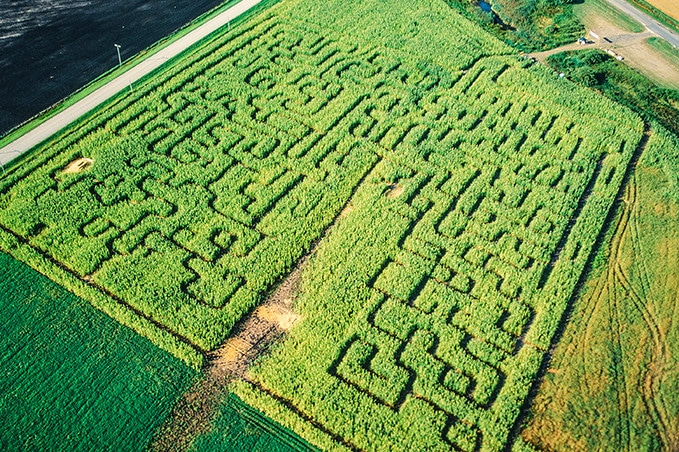 Stock Photo Aerial View of a Farmer's Corn Maze